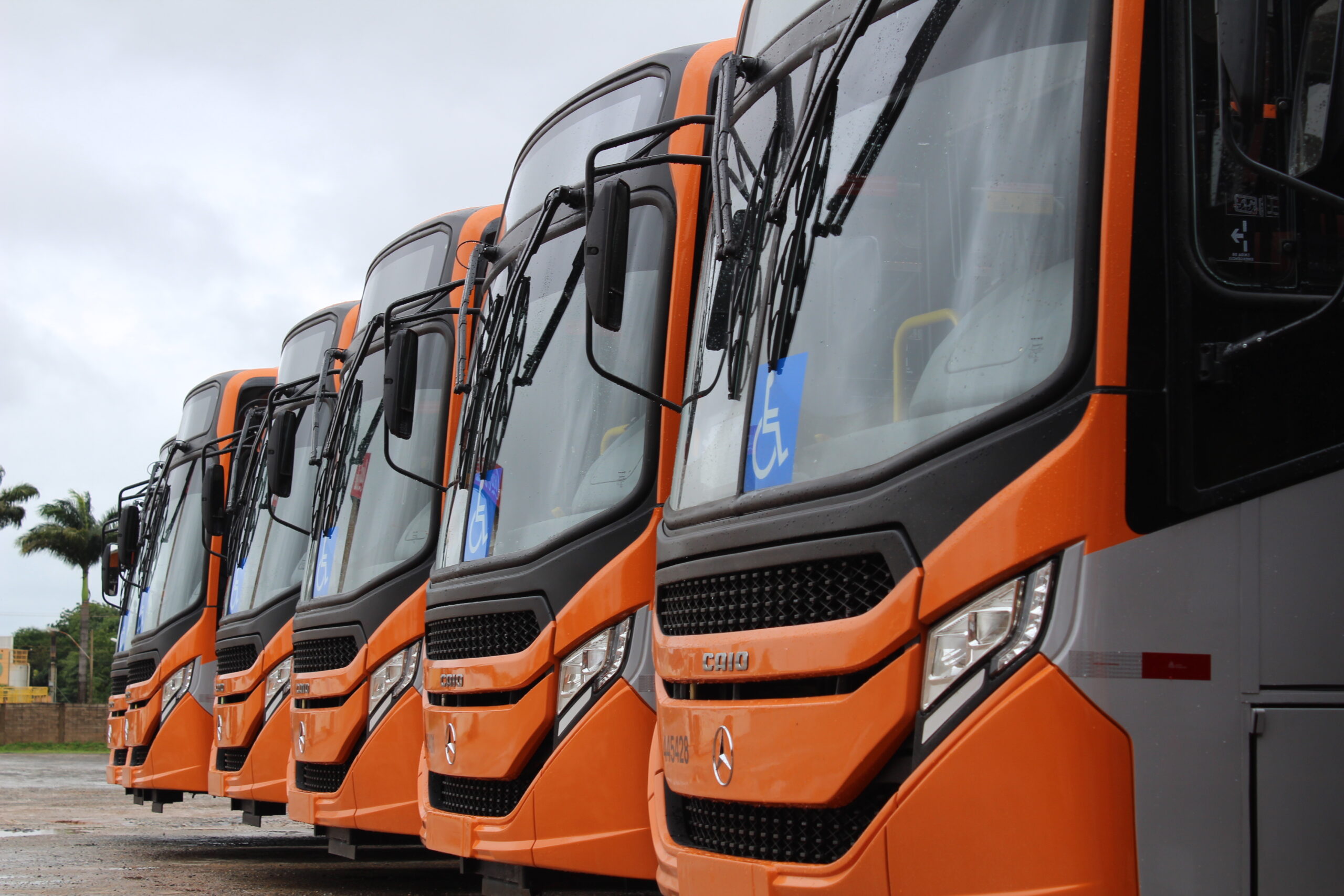 GDF pede a liberação de 90 ônibus da Marechal