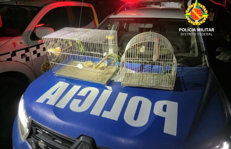 Homens são presos por vender animais silvestres pelas redes sociais em Águas Lindas