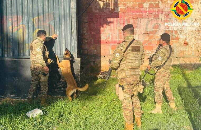 Operação em Ceilândia desmonta 11 estruturas precárias e atende pessoas em situação de rua