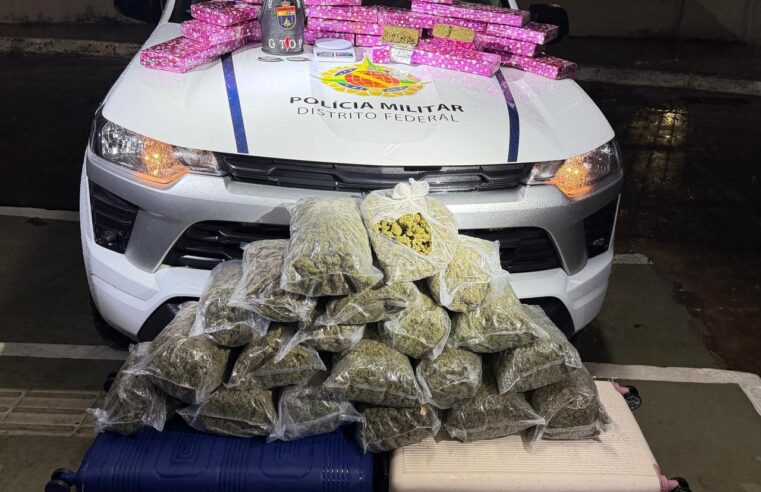 PMDF apreende 50 kg de maconha e skunk em casa na Samambaia Norte