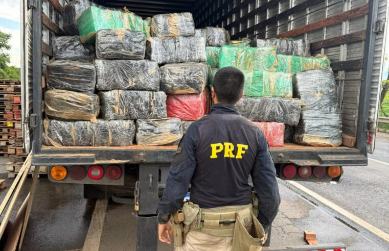 PRF e PCDF apreendem 3,5 toneladas de skunk em Goiás