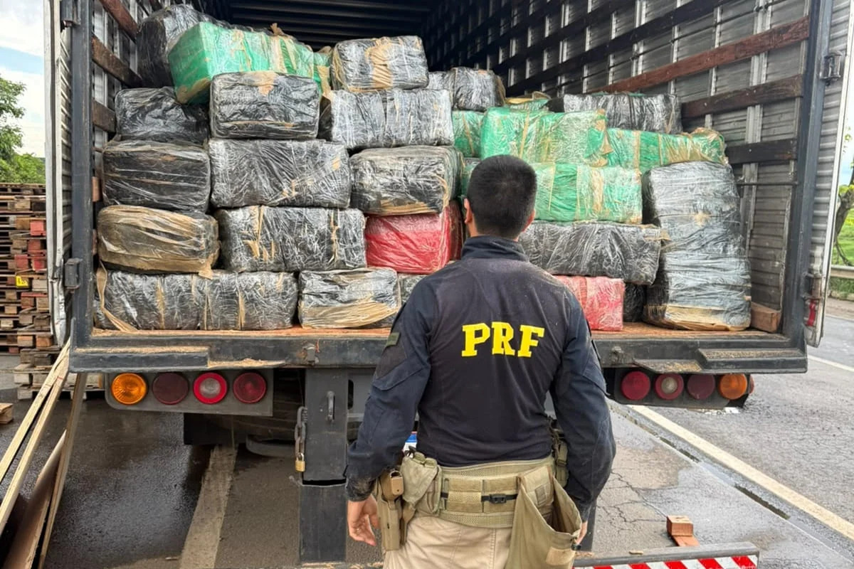 PRF e PCDF apreendem 3,5 toneladas de skunk em Goiás