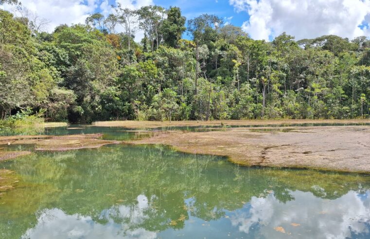 Sema-DF prorroga prazo para projetos ambientais e amplia parcerias para 24 meses
