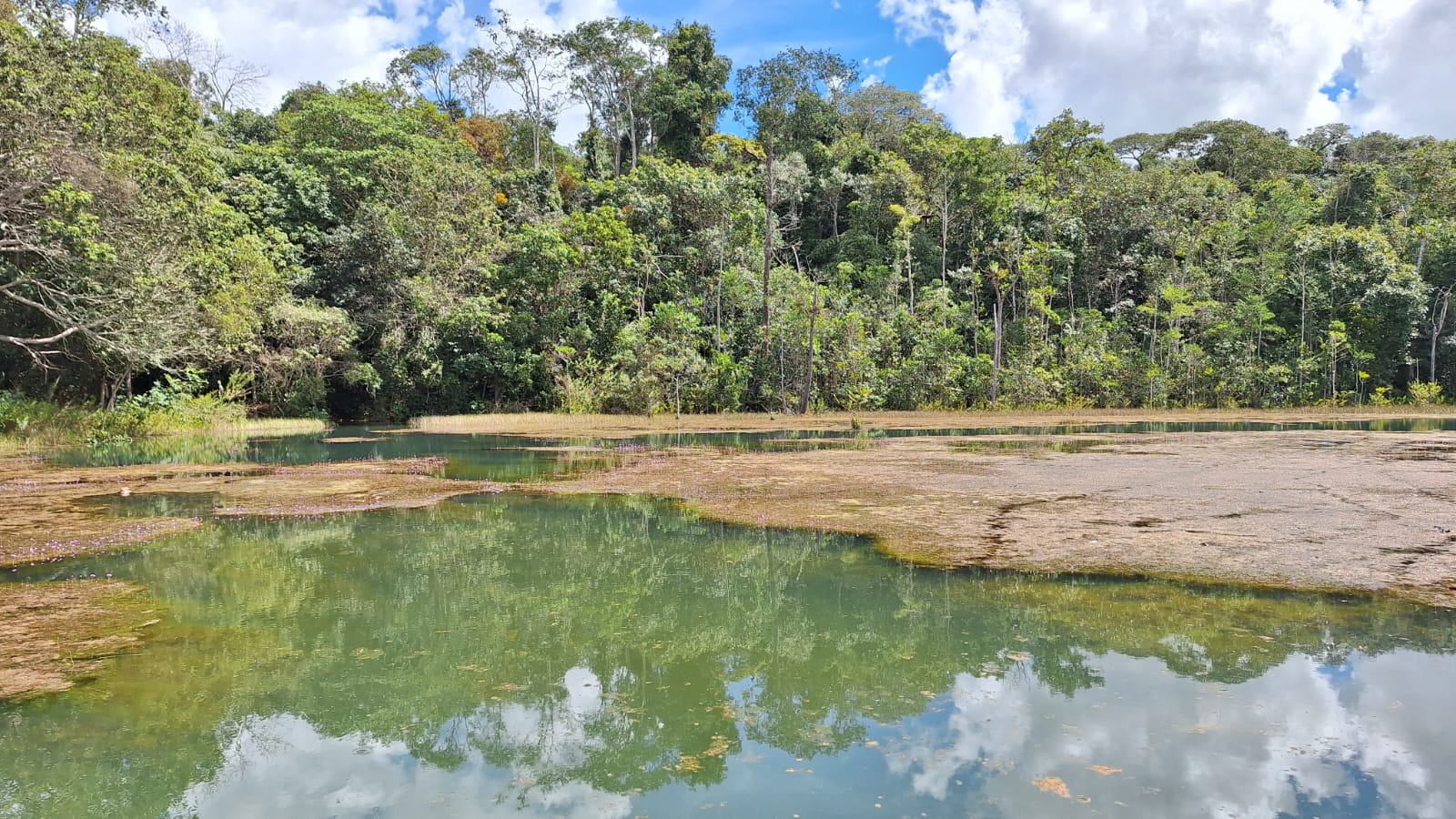 Sema-DF prorroga prazo para projetos ambientais e amplia parcerias para 24 meses